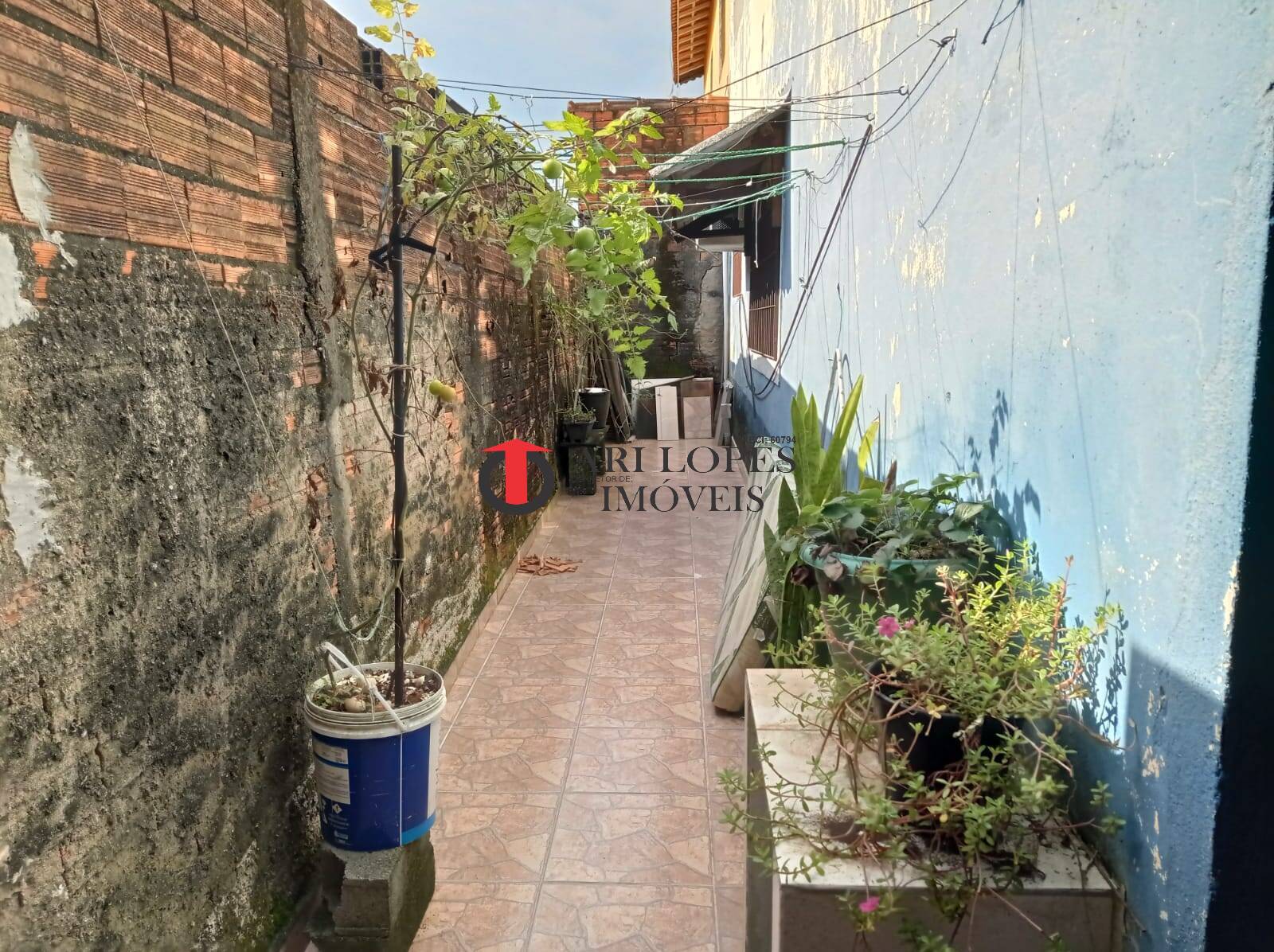 Casa, 3 quartos - Foto 24